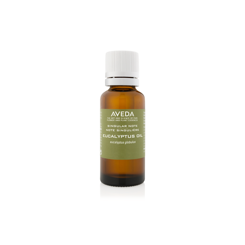 Eucalyptus Oil - 30 ml